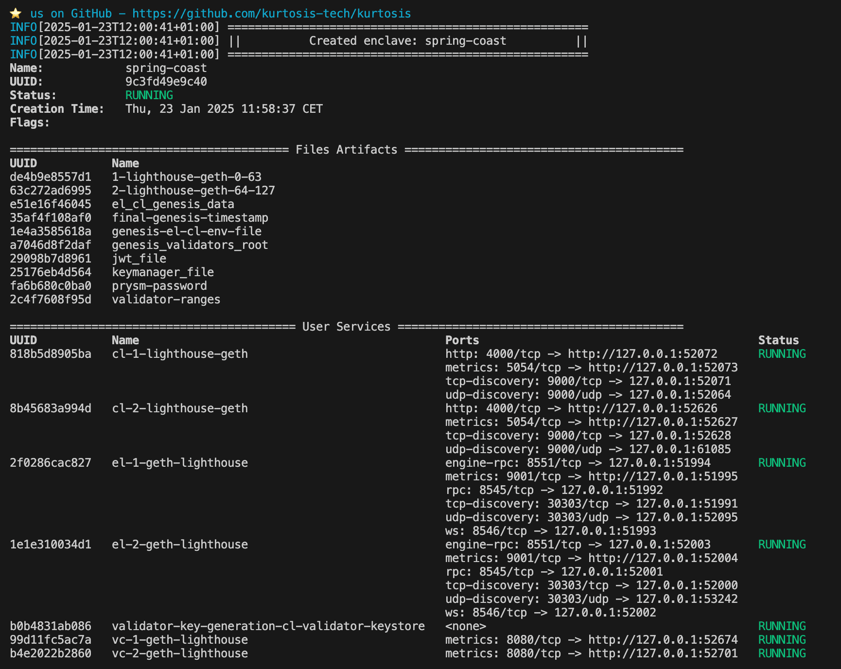 Kurtosis quick start terminal